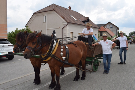 Fotografije Srečko Šajn (15)